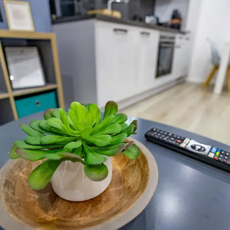 Apartmán Hannibal - Design Studio-apartment Tulpe 9, Parkplatz, Kueche, Highspeed-wlan Wolfsburg