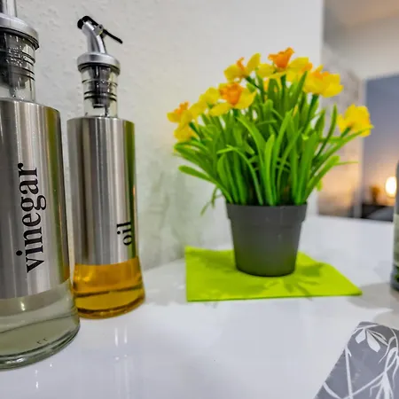 Hannibal - Design Studio-apartment Tulpe 9, Parkplatz, Kueche, Highspeed-wlan