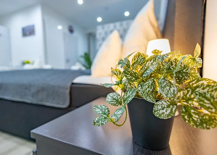 דירה Hannibal - Design Studio-apartment Tulpe 9, Parkplatz, Kueche, Highspeed-wlan